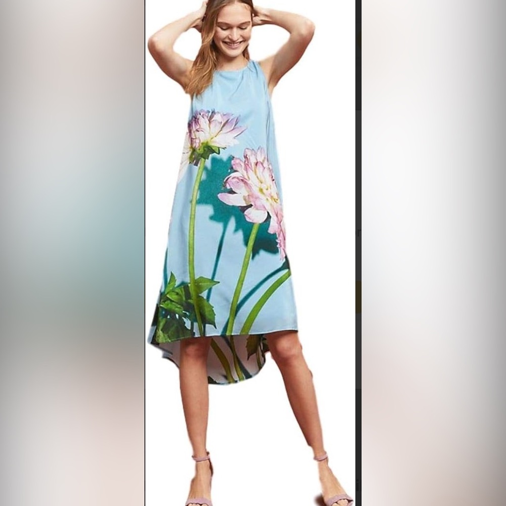 Anthropologie Blue Floral Dress